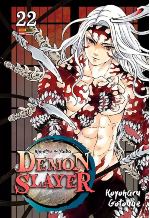 Demon Slayer Vol. 22