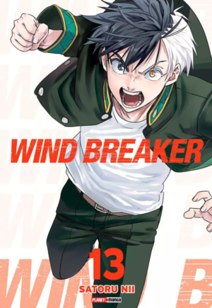 Wind Breaker Vol. 13