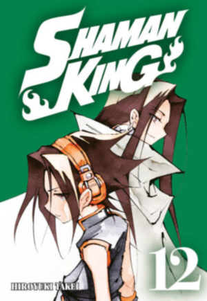 Shaman King Vol.12